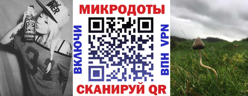 OMG как зайти  Тара  сайты даркнета формула  закладка  Псилоцибиновые грибы ЛСД 